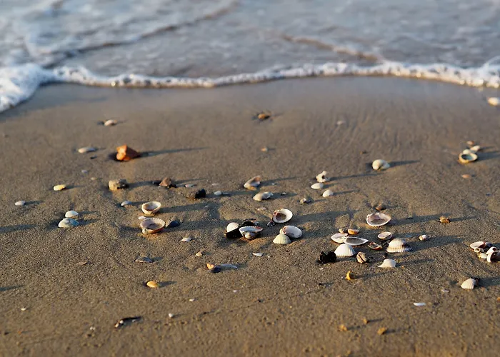 شقة Vibrant With Pool-beahost بيبيوني